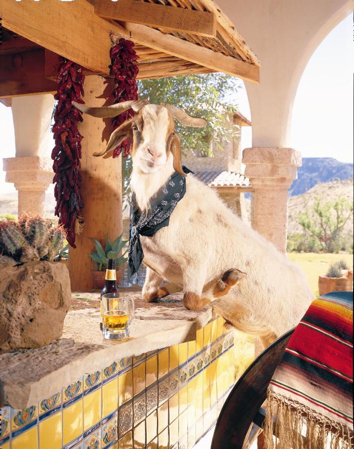 Station touristique Lajitas Golf Terlingua
